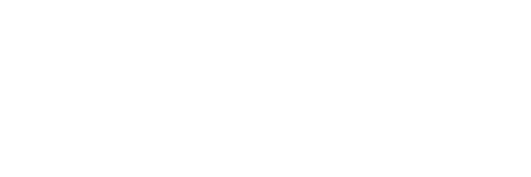 LOGO OFICIAL SOLUCOES EM ENERGIA sem fundo branco
