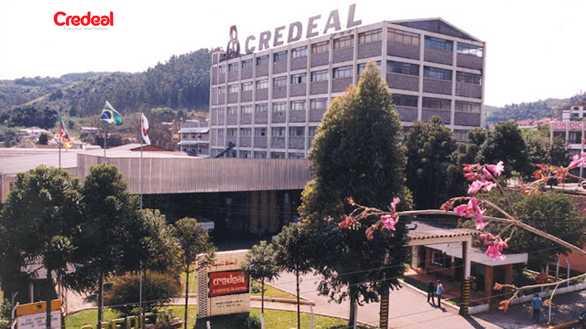 Laudos Elétricos – Credeal Industria de Cadernos